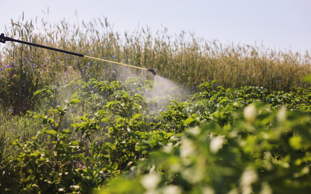 Control de plagas en los cultivos